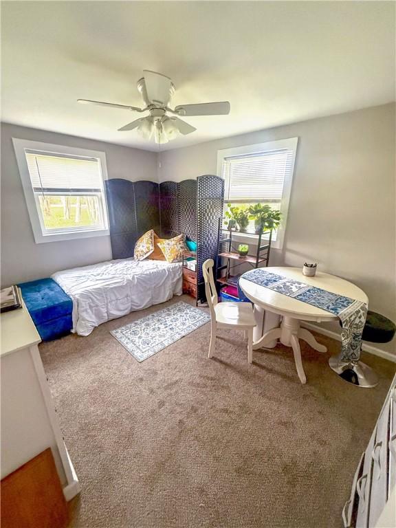 bedroom with carpet flooring, a ceiling fan, and multiple windows
