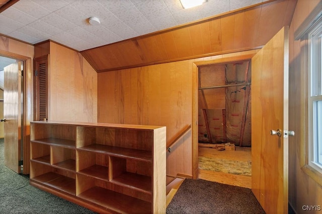 314 Westlind Rd, Geddes, NY 13219 - hall with carpet flooring and wood walls