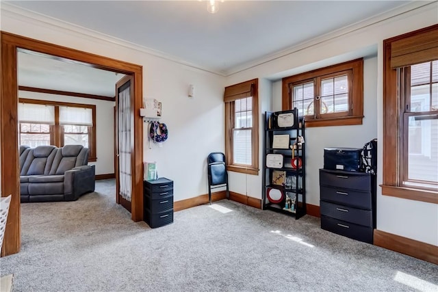 interior space featuring crown molding, carpet floors, and baseboards