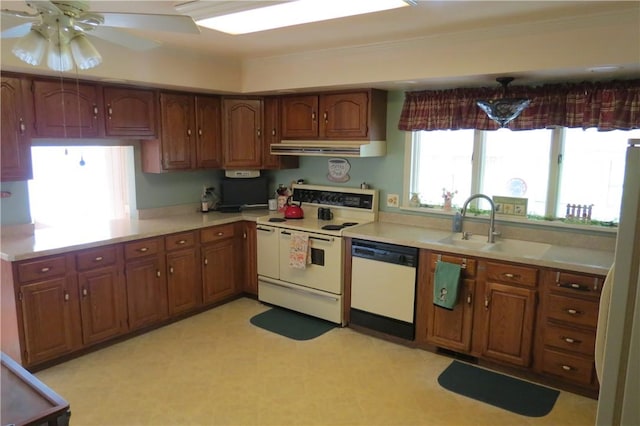 kitchen with a ceiling fan, white appliances, light countertops, brown cabinets, and a sink
