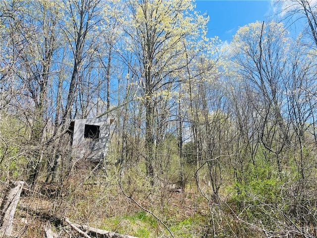 5291 Starr Rd, Thurston, NY 14821 - view of nature