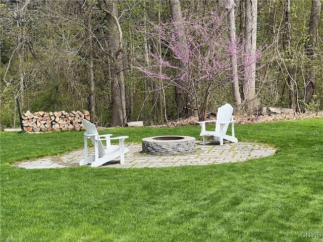 view of yard featuring an outdoor fire pit and a patio area
