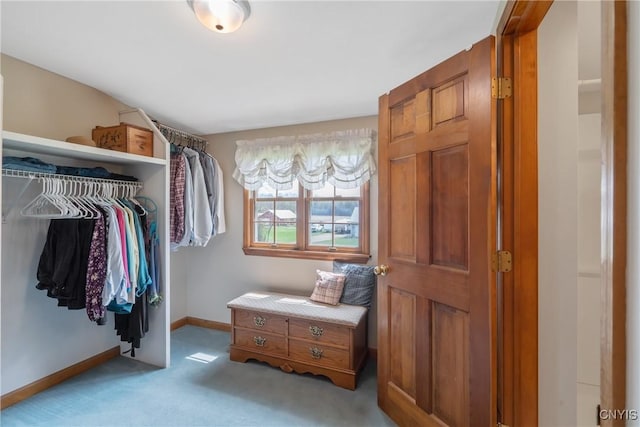 walk in closet with carpet flooring