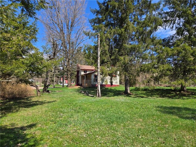 16 Munn Rd, Hamden, NY 13782 - photo 42