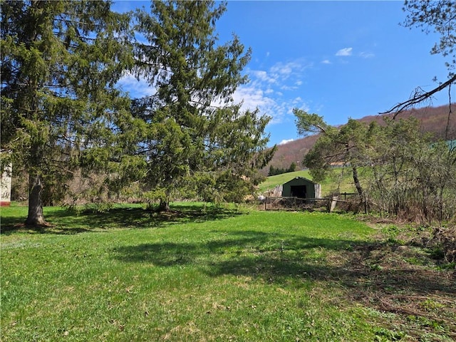16 Munn Rd, Hamden, NY 13782 - photo 43