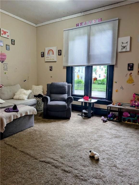 carpeted living area featuring ornamental molding