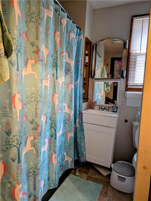 bathroom featuring vanity, toilet, and a shower with shower curtain
