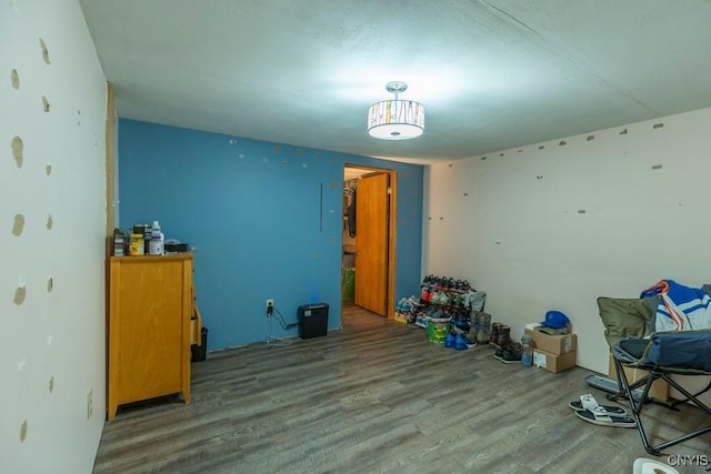 unfurnished bedroom featuring wood finished floors