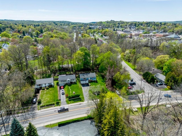 bird's eye view