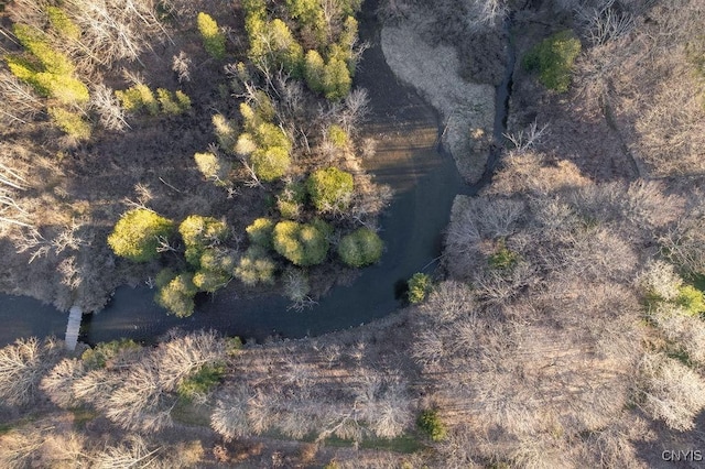 3830 Rippleton Rd, Cazenovia, NY 13035 - drone / aerial view