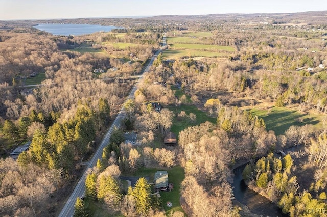 3830 Rippleton Rd, Cazenovia, NY 13035 - aerial view with a view of trees and a water view