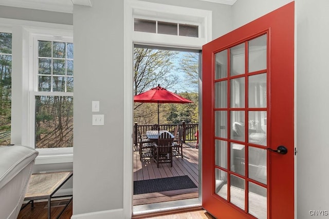 3830 Rippleton Rd, Cazenovia, NY 13035 - doorway with crown molding, baseboards, and wood finished floors