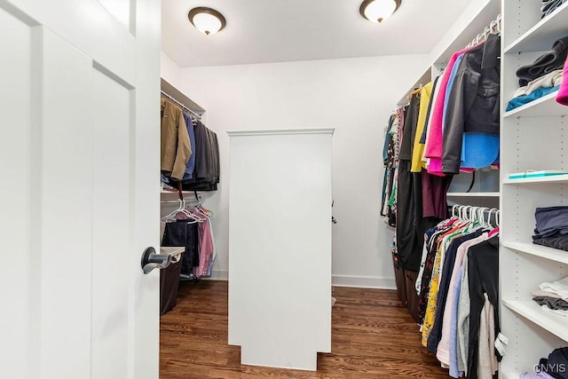3830 Rippleton Rd, Cazenovia, NY 13035 - walk in closet with wood finished floors
