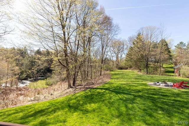 3830 Rippleton Rd, Cazenovia, NY 13035 - view of yard featuring an outdoor fire pit