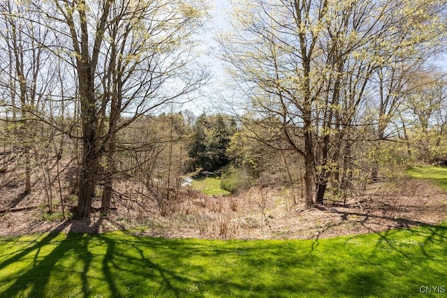 3830 Rippleton Rd, Cazenovia, NY 13035 - view of yard