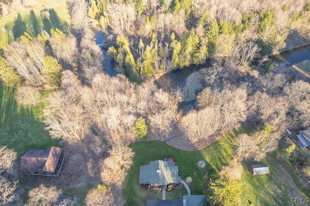 3830 Rippleton Rd, Cazenovia, NY 13035 - aerial view