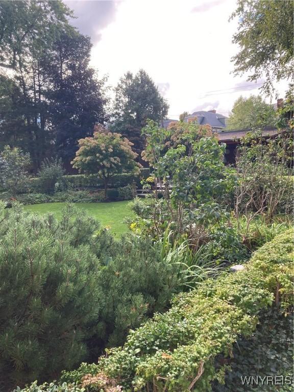 731 W Fry Unit 7G, Buffalo, NY 14222 - view of yard