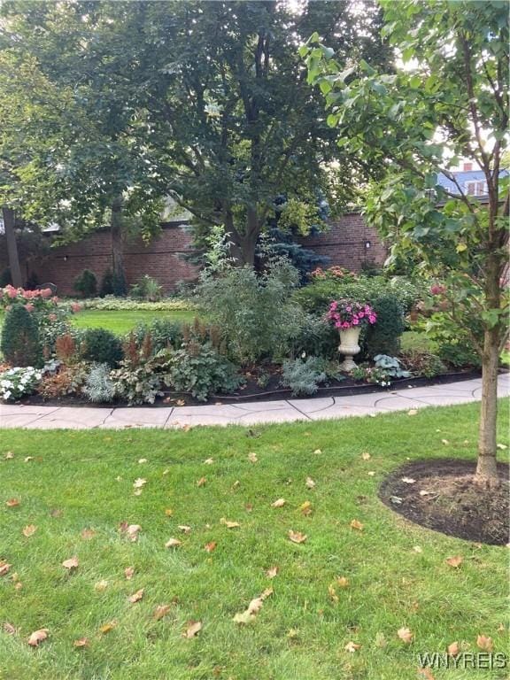 731 W Fry Unit 7G, Buffalo, NY 14222 - view of yard