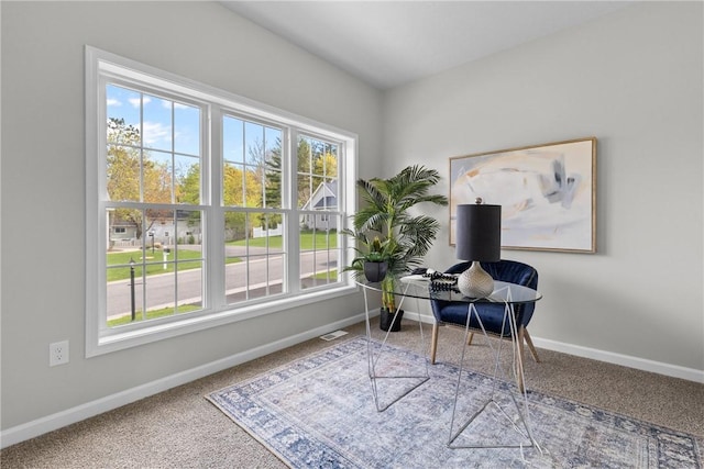office area featuring carpet floors and baseboards