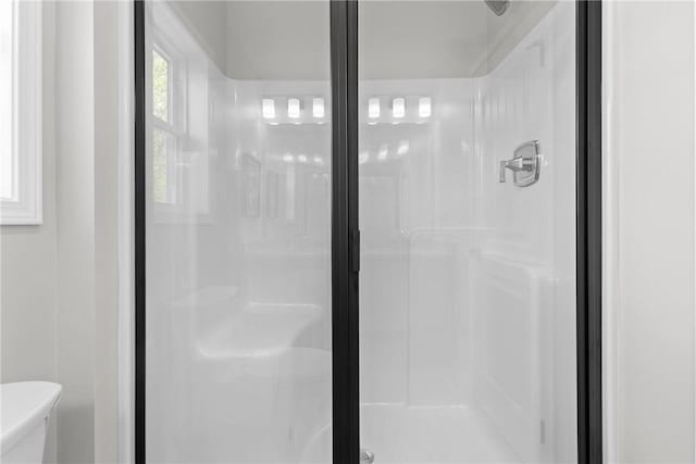 bathroom featuring toilet and a stall shower