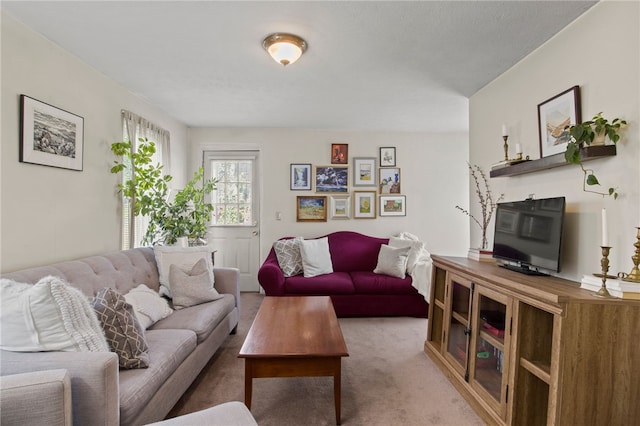living area with carpet floors