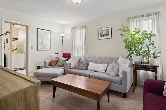 living area with light colored carpet and visible vents
