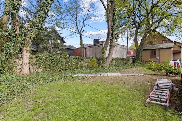 view of yard
