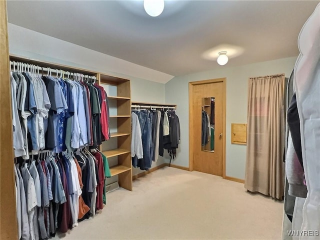 walk in closet featuring carpet