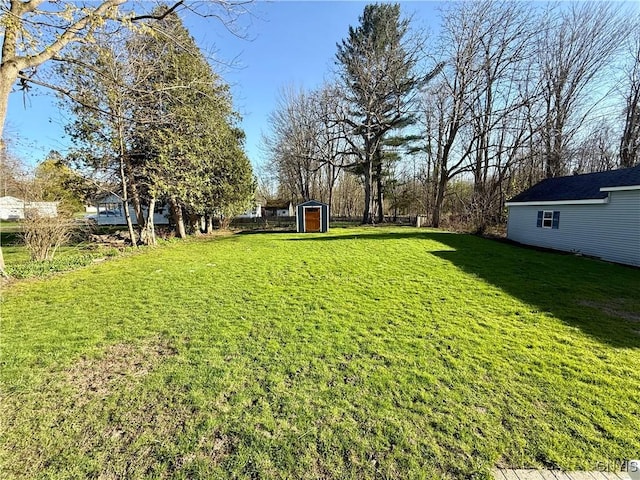 view of yard featuring a storage shed and an outdoor structure