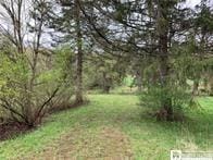 6805 Poverty Hill Rd, Ellicottville, NY 14731