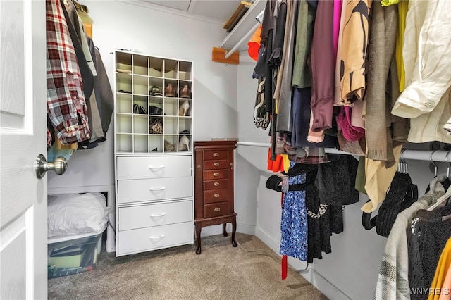 spacious closet with carpet flooring
