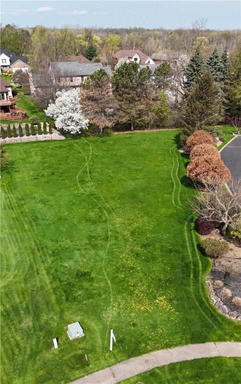 271 W Hill Ests, Greece, NY 14626 - view of yard