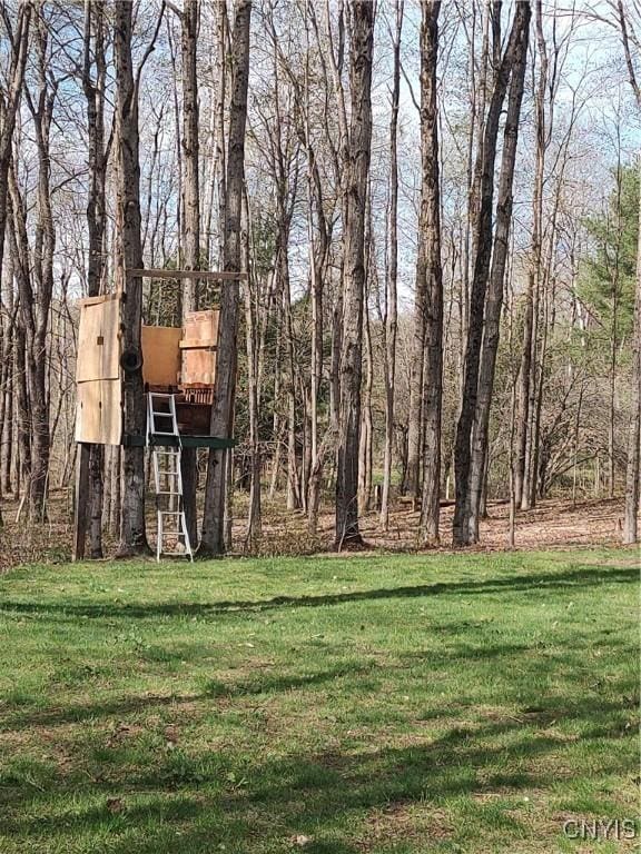 122 County Route 17a, Amboy, NY 13493 - photo 39