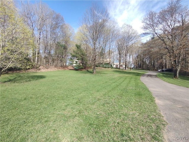 122 County Route 17a, Amboy, NY 13493 - photo 50