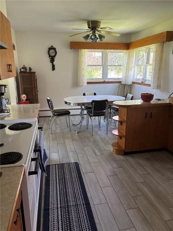 1001 W Broad St, Horseheads, NY 14845 - kitchen featuring ceiling fan, electric range, open shelves, light countertops, and light wood-style flooring