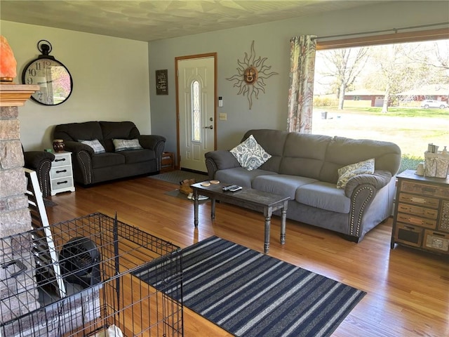 1001 W Broad St, Horseheads, NY 14845 - living room with wood finished floors