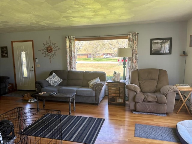 1001 W Broad St, Horseheads, NY 14845 - living area with wood finished floors