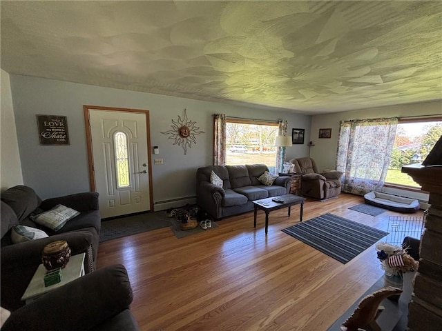 1001 W Broad St, Horseheads, NY 14845 - living room with plenty of natural light, wood finished floors, and baseboard heating