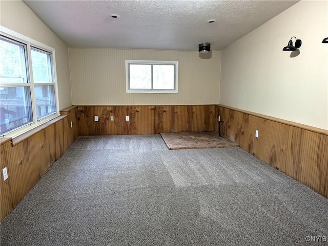 134 Malden Rd, Salina, NY 13211 - carpeted empty room featuring a wainscoted wall, plenty of natural light, and wood walls