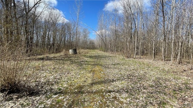 97 Oswego River Rd, Schroeppel, NY 13135