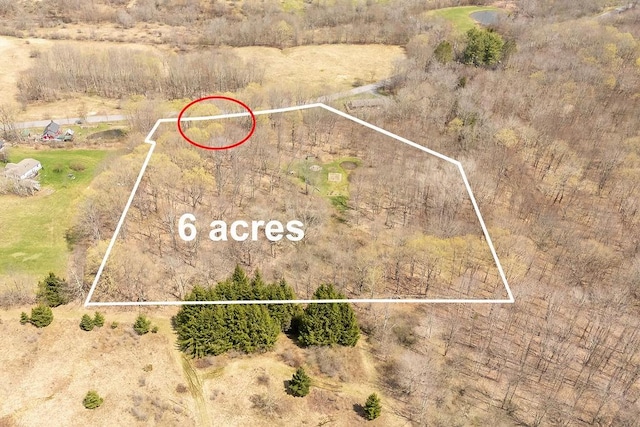 851 Lower Meeker Hollow Rd, Roxbury, NY 12474 - bird's eye view