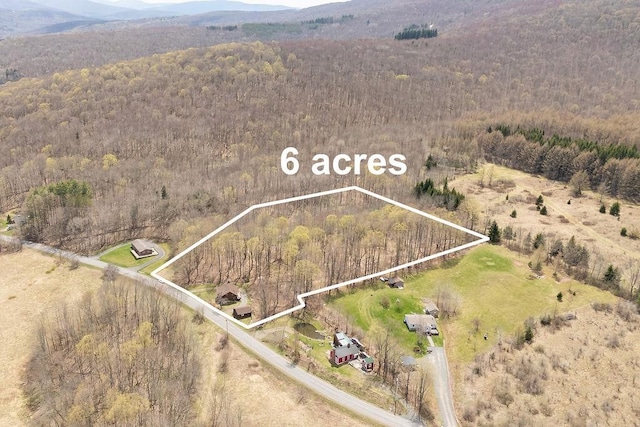 851 Lower Meeker Hollow Rd, Roxbury, NY 12474 - bird's eye view with a mountain view and a wooded view