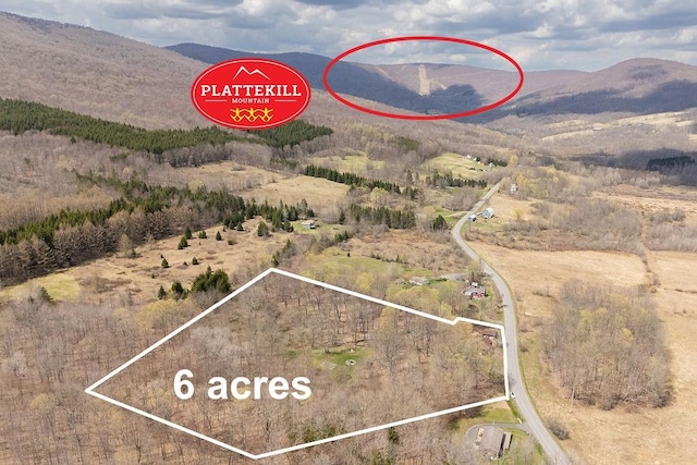 851 Lower Meeker Hollow Rd, Roxbury, NY 12474 - bird's eye view featuring a mountain view