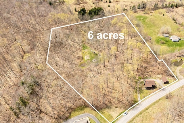 851 Lower Meeker Hollow Rd, Roxbury, NY 12474 - bird's eye view