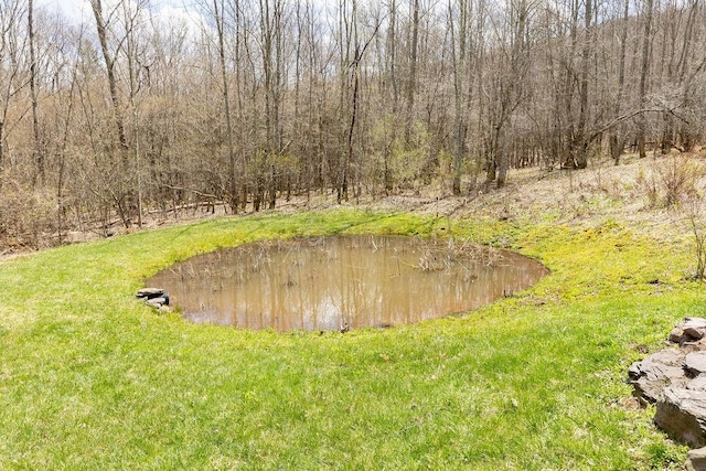 851 Lower Meeker Hollow Rd, Roxbury, NY 12474 - view of yard