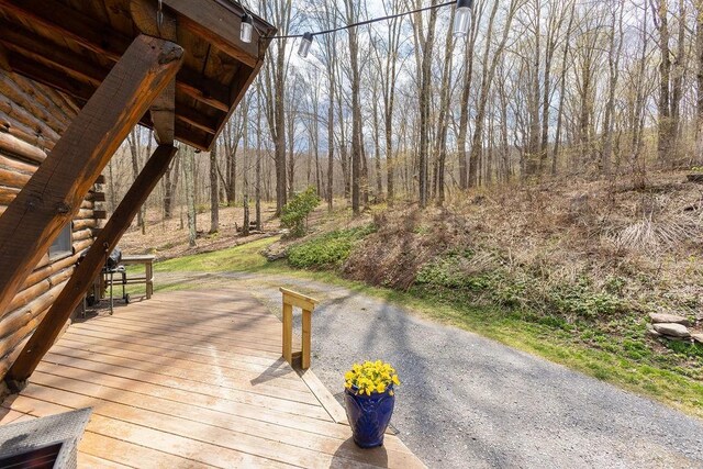 851 Lower Meeker Hollow Rd, Roxbury, NY 12474 - view of deck
