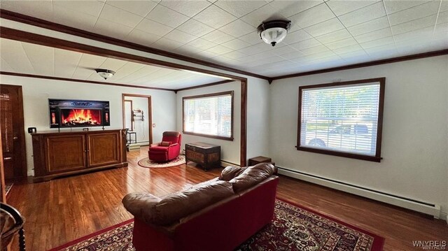 3319 Riverside Dr, Scio, NY 14895 - living room featuring crown molding, a baseboard radiator, baseboard heating, and wood finished floors