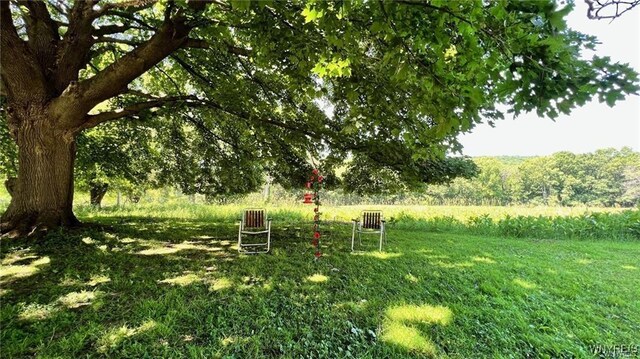 3319 Riverside Dr, Scio, NY 14895 - view of yard