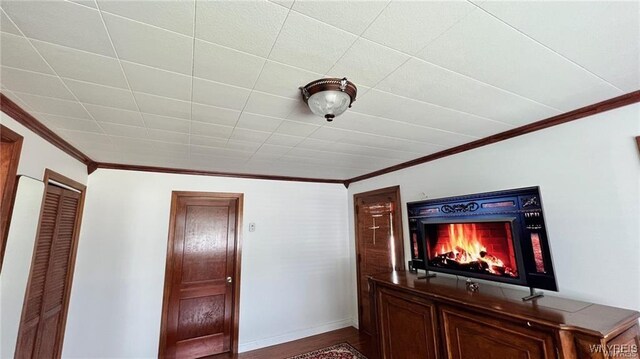 3319 Riverside Dr, Scio, NY 14895 - unfurnished living room featuring baseboards, ornamental molding, and wood finished floors