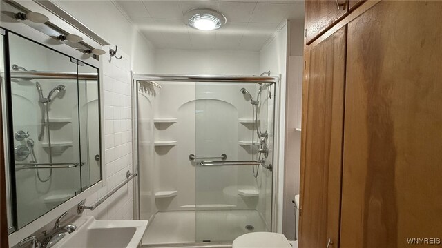 3319 Riverside Dr, Scio, NY 14895 - bathroom featuring a sink, a shower stall, and toilet